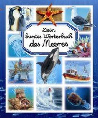 Dein buntes Wörterbuch des Meeres Dein buntes Wörterbuch des Meeres