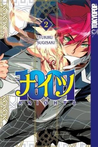 1001 Knights. Bd.2