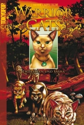 Warrior Cats, Tigerstern und Sasha