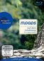 Auf dem Jakobsweg - Eine innere Reise, 1 Blu-ray