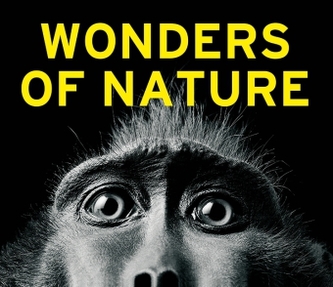 Wonders of Nature
