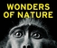 Wonders of Nature
