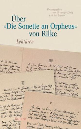 Über 'Die Sonette an Orpheus' von Rilke