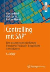 Controlling mit SAP