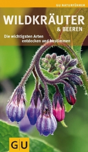 Wildkräuter & Beeren