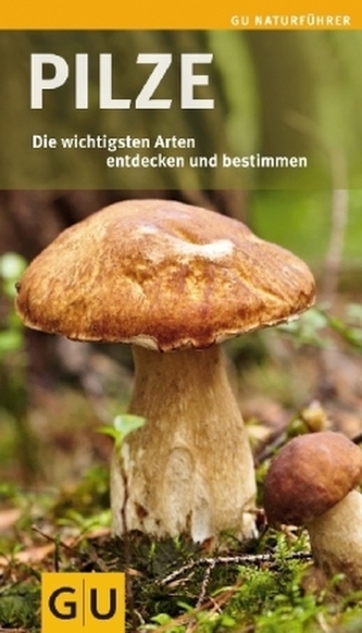 Pilze