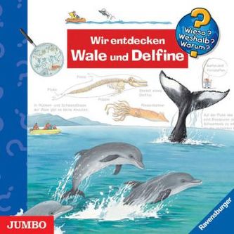 Wir entdecken Wale und Delfine, Audio-CD Wir entdecken Wale und Delfine, Audio-CD
