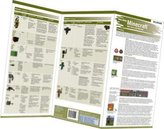 Minecraft - Alle Tiere und Monster auf einen Blick!, Falttafel
