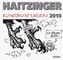 Haitzinger Karikaturen 2010