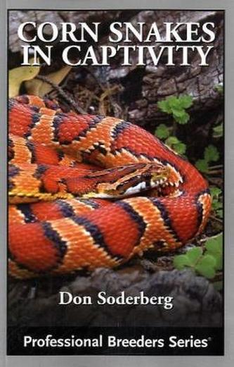 Corn Snakes in Captivity