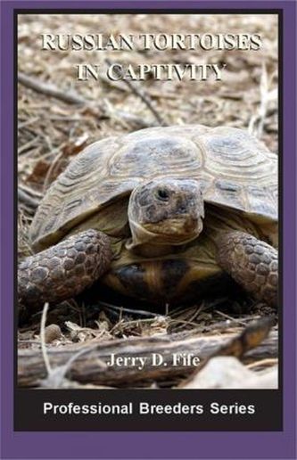 Russian Tortoises in captivity