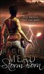 Storm Born. Dark Swan - Sturmtochter, englische Ausgabe