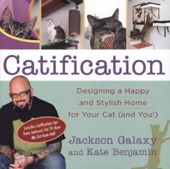 Catification