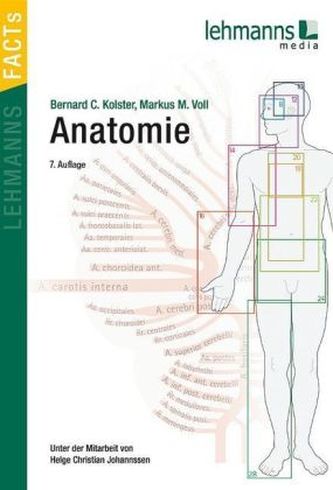 Anatomie