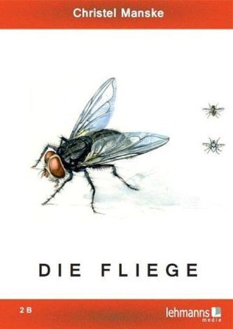 Die Fliege. Tl.2