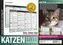 Katzen