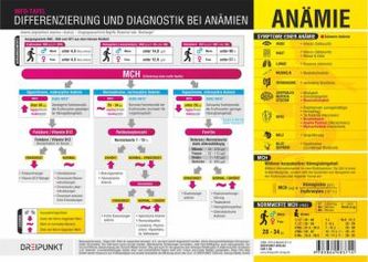 Anämie, Infotafel