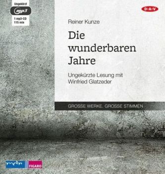 Die wunderbaren Jahre, 1 MP3-CD