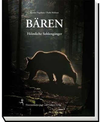 Bären Bären