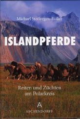 Islandpferde
