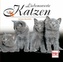 Liebenswerte Katzen