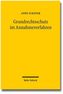 Grundrechtsschutz im Annahmeverfahren