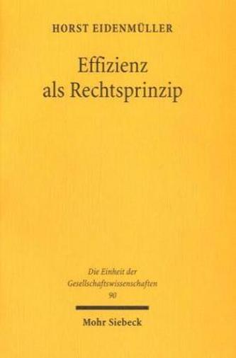 Effizienz als Rechtsprinzip