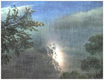 Graziella Antonini - Alcina