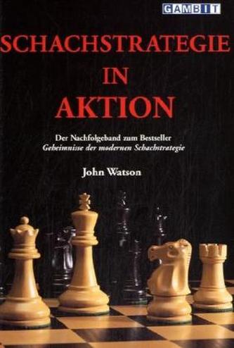 Schachstrategie in Aktion
