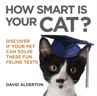 How Smart Is Your Cat?