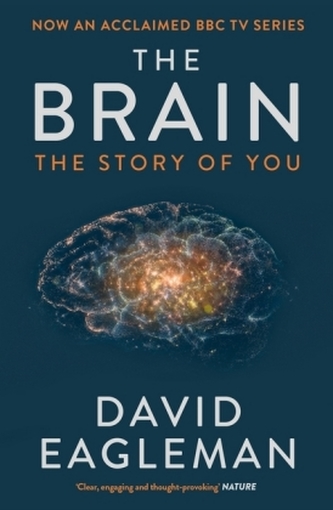 The Brain The Brain