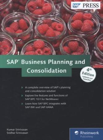 SAP Business Planning and Consolidation
