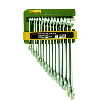 Sada očkoplochých klíčů 15kusů, M6-M21