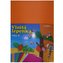 Lepenka E-Welle 260g 34,5 x 24,5cm rovná-oranž 10 listů