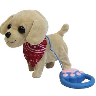 Piesek chodzący na smyczy