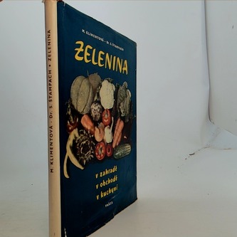 Zelenina v zahradě, v obchodě, v kuchyni