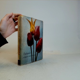 Tulipány a ostatní cibulové květiny