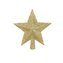 Gwiazda choinkowa złota
