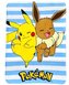 FLÍSOVÁ DEKA POKÉMON