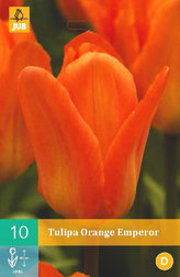 Karta - Tulipán - Orange Emperor (10 cibulí) "C"