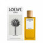 Loewe Solo Loewe Mercurio - EDP 100 ml man