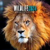 Oficiální nástěnný kalendář 2024 16 měsíců: Wild Life (30 x 30|60 cm)