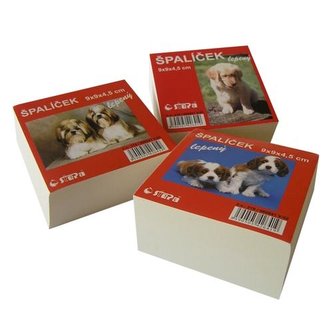 Poznámková kostka RECY 9x9x4,5cm lepená