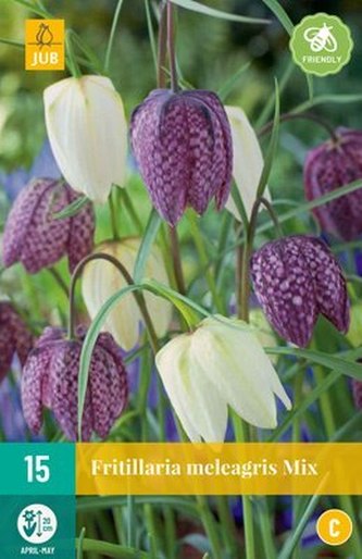 Karta - Řepčík - Fritillaria Meleagris Mix (15 cibulí) "C"