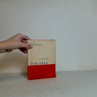 Divá Bára