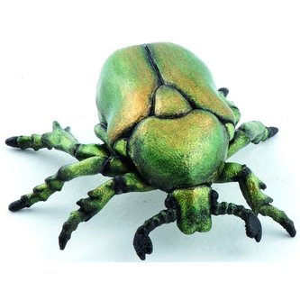 Kruszczyca złotawka Kruszczyca złotawka