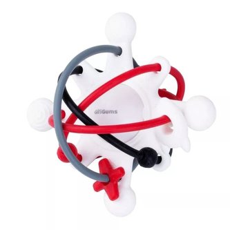 Grzechotka Kontrastowa Kosmos Grzechotka Kontrastowa Kosmos