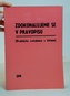 Zdokonalujeme se v pravopisu - Praktická cvičebnice s klíčem