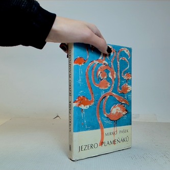 Jezero Plameňáků
