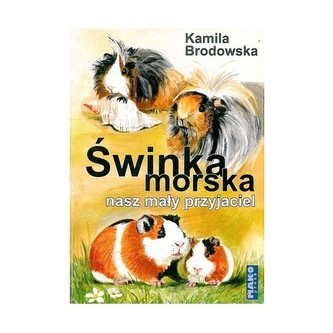 Świnka morska nasz mały przyjaciel